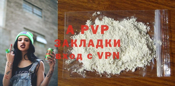 стаф Белая Холуница