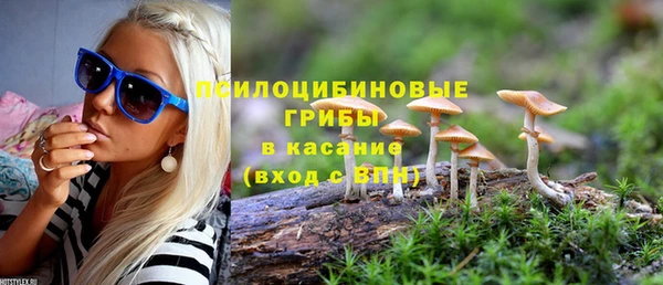 ешки Михайлов