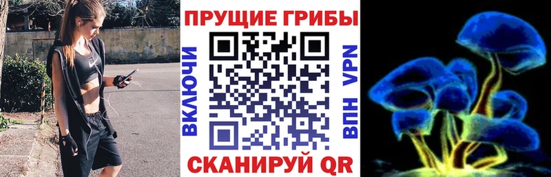 где продают наркотики  Тотьма  Галлюциногенные грибы Magic Shrooms 
